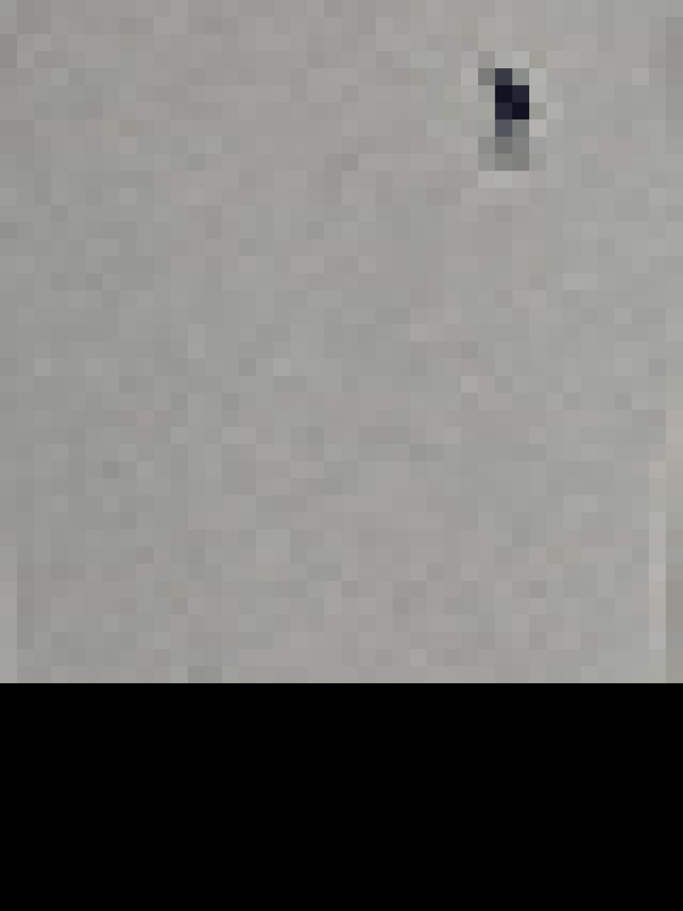 Світшот US Polo модель G081SZ082.000.1454279.VR086 Фото