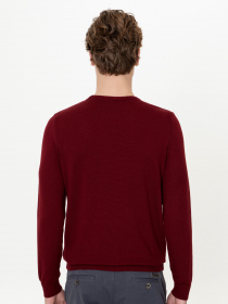 Джемпер US Polo модель G081GL0TK.000.1259853.VR014 Фото