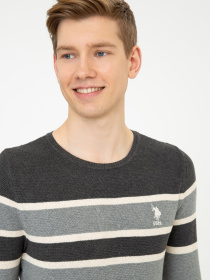 Джемпер US Polo модель G081GL0TK.000.1255768.VR081 Фото