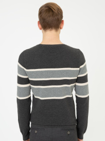 Джемпер US Polo модель G081GL0TK.000.1255768.VR081 Фото