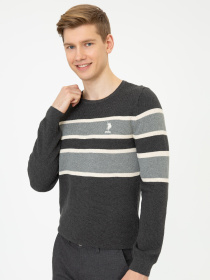 Джемпер US Polo модель G081GL0TK.000.1255768.VR081 Джемпер US Polo модель G081GL0TK.000.1255768.VR081 Фото