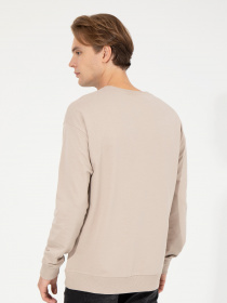 Свитшот US Polo модель G081SZ082.000.1454756.VR049 Фото