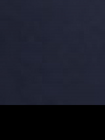 Жилет з утеплювачем US Polo модель G081SZ010.000.963775.VR033 Фото