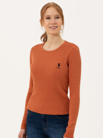 Джемпер US Polo модель G082SZ0TK.000.1430176.VR031 Фото