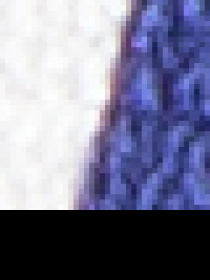 Рубашка US Polo модель G082SZ004.000.1459817.VR212 Фото