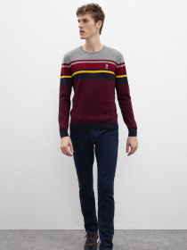 Джемпер US Polo модель G081GL0TK.000.809979.VR014 Фото