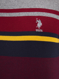 Джемпер US Polo модель G081GL0TK.000.809979.VR014 Фото