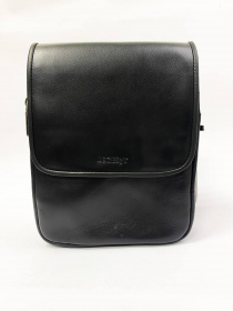 Сумка Legessy модель V015_3 Фото