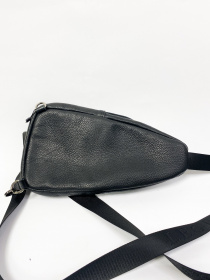 Сумка Legessy модель F018-1G Фото