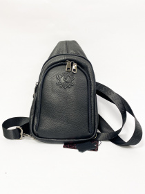 Сумка Legessy модель F018-1G Фото