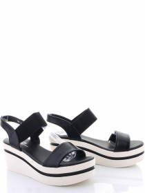 Caroc модель TF46-1 Фото