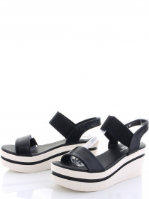 Caroc модель TF46-1 Фото