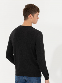 Джемпер US Polo модель G081SZ0TK.000.1454566.VR081 Фото