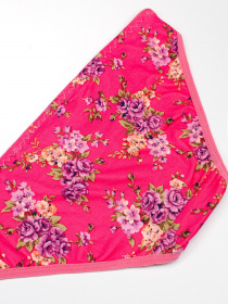 Трусы ISSA Plus модель BL2-662_raspberry Фото