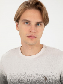 Джемпер US Polo модель G081GL0TK.000.1429014.VR081 Фото