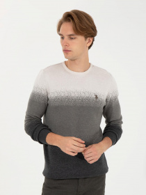 Джемпер US Polo модель G081GL0TK.000.1429014.VR081 Фото