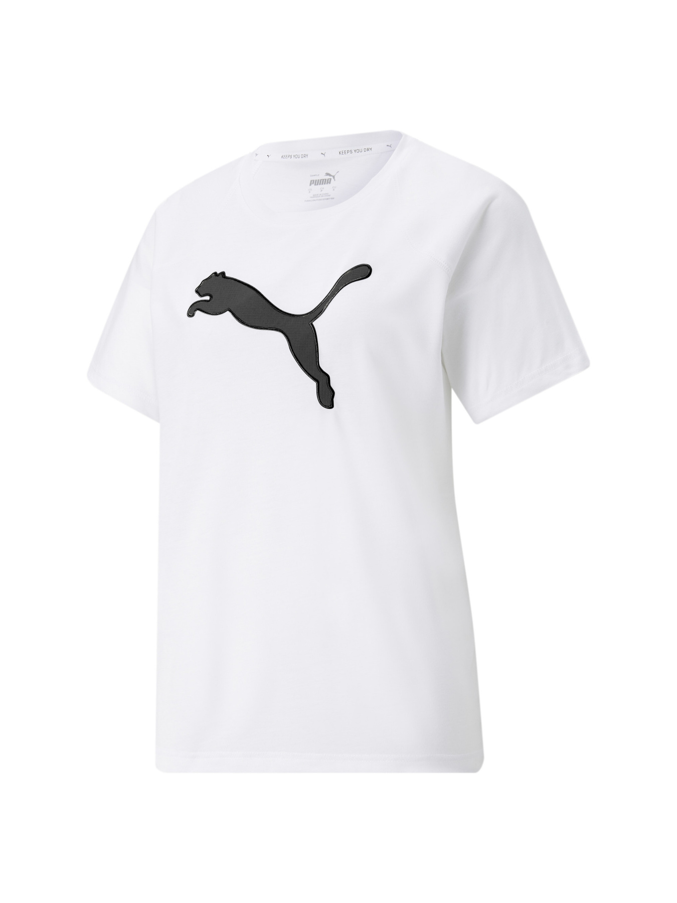 Футболки и поло PUMA Evostripe Summer Tee модель 848395 Фото