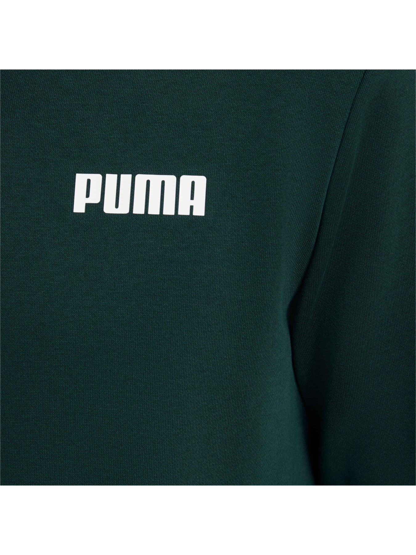 Кофта спортивная PUMA Ess Fz Hoody Fl модель 854770 Фото
