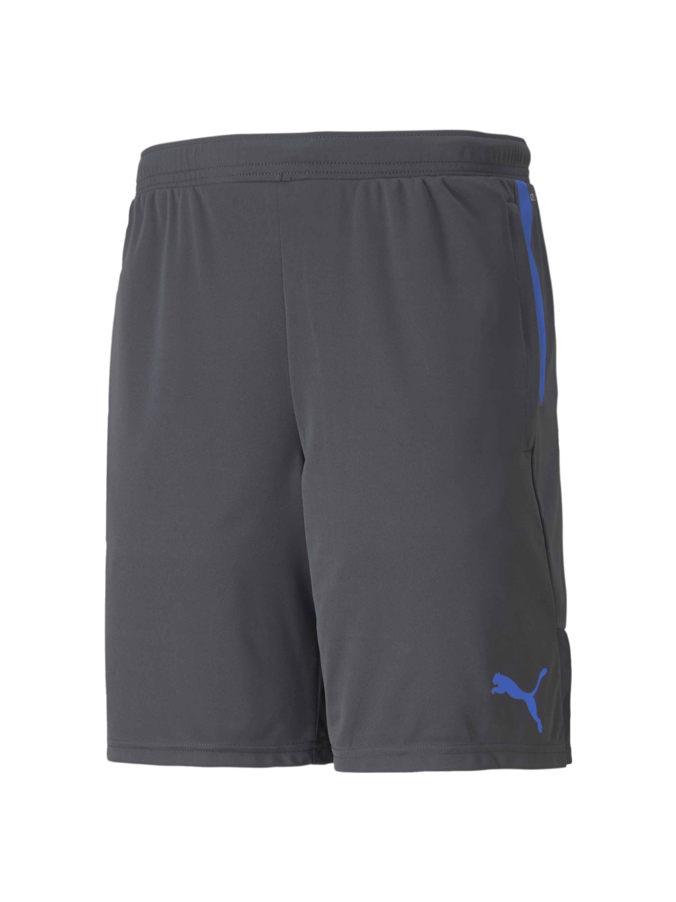 Шорты спортивные PUMA Individualcup Shorts модель 657546 Шорты спортивные PUMA Individualcup Shorts модель 657546 Фото