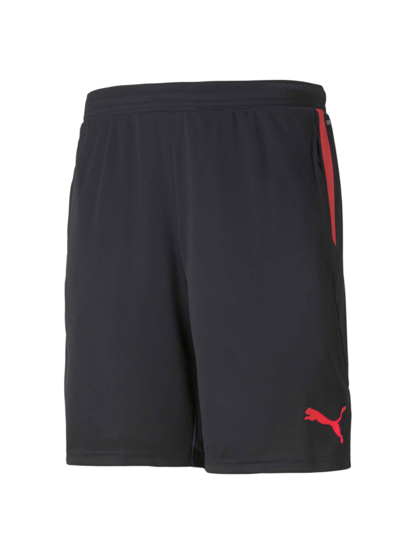 Шорты спортивные PUMA Individualcup Shorts модель 657546 Фото