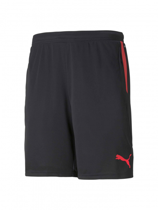 Шорты спортивные PUMA Individualcup Shorts модель 657546 Фото