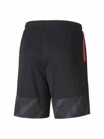 Шорти PUMA Individualcup Shorts модель 657546 Фото