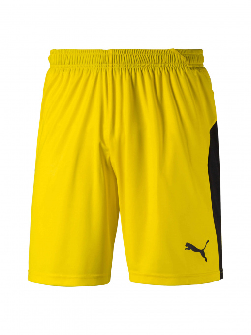 Шорты спортивные PUMA Liga Shorts модель 703431 Фото