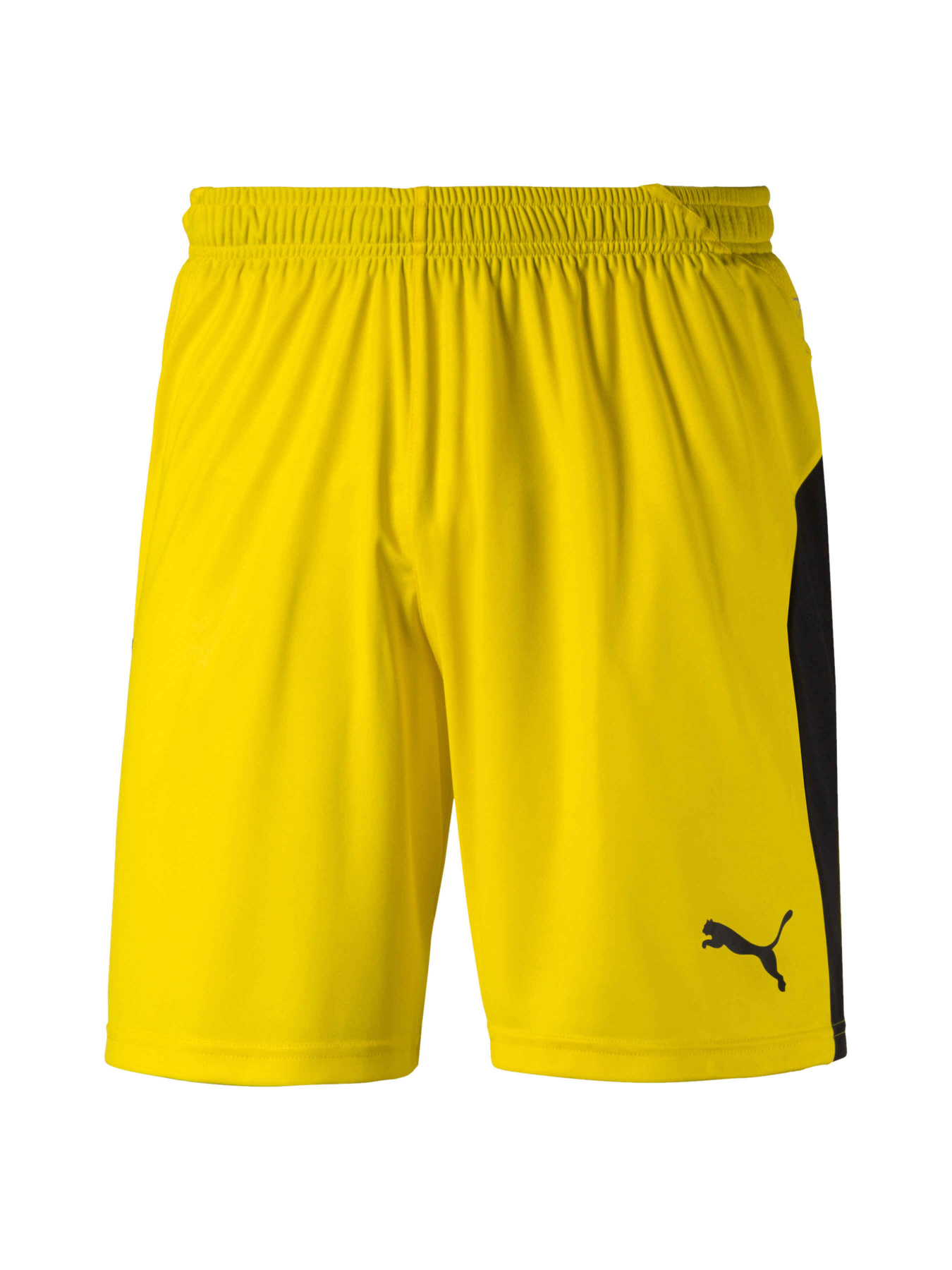 Спортивні шорти PUMA Liga Shorts модель 703431 Фото