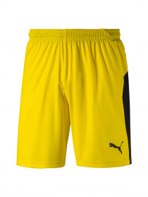 Спортивні шорти PUMA Liga Shorts модель 703431 Фото