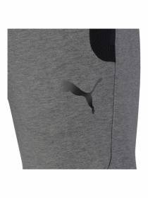 Штаны спортивные PUMA модель 581496 Фото