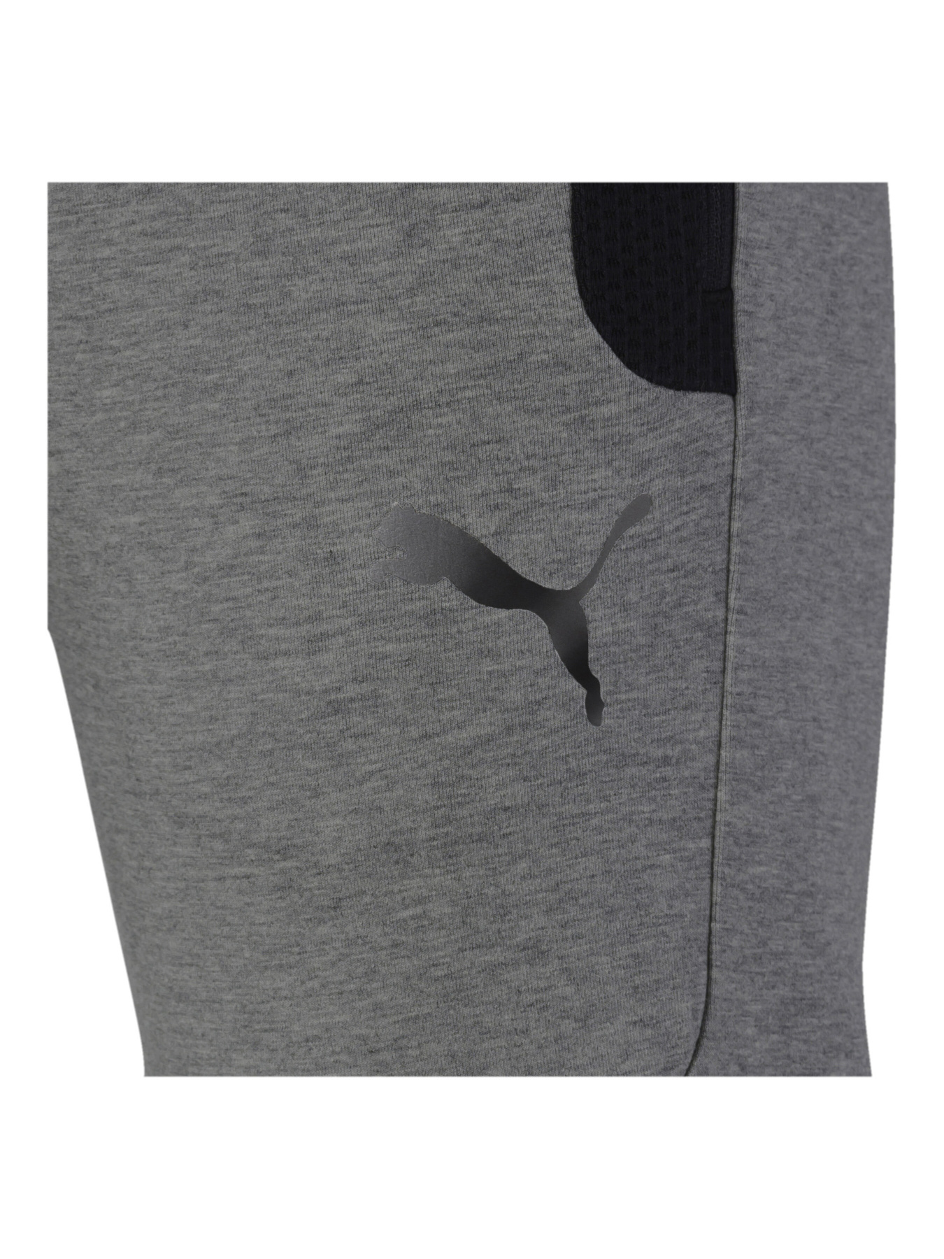 Спортивні штани PUMA модель 581496 Фото