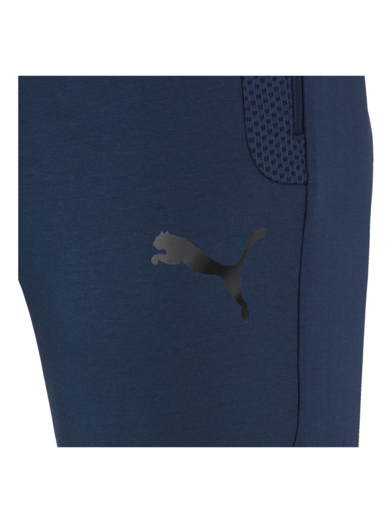 Штаны спортивные PUMA модель 581496 Штаны спортивные PUMA модель 581496 Фото