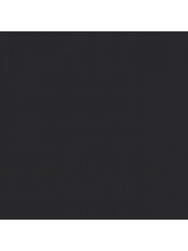 Шорты PUMA модель 845824 Фото