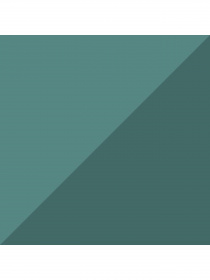 Шорты PUMA модель 845824 Фото