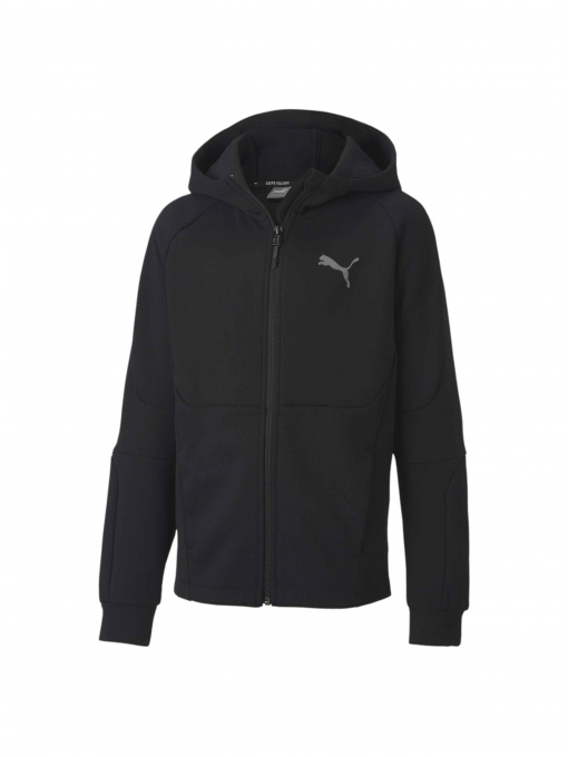 Кофта спортивна PUMA Evostripe Full-zip Hoodie Модель 583228 Фото