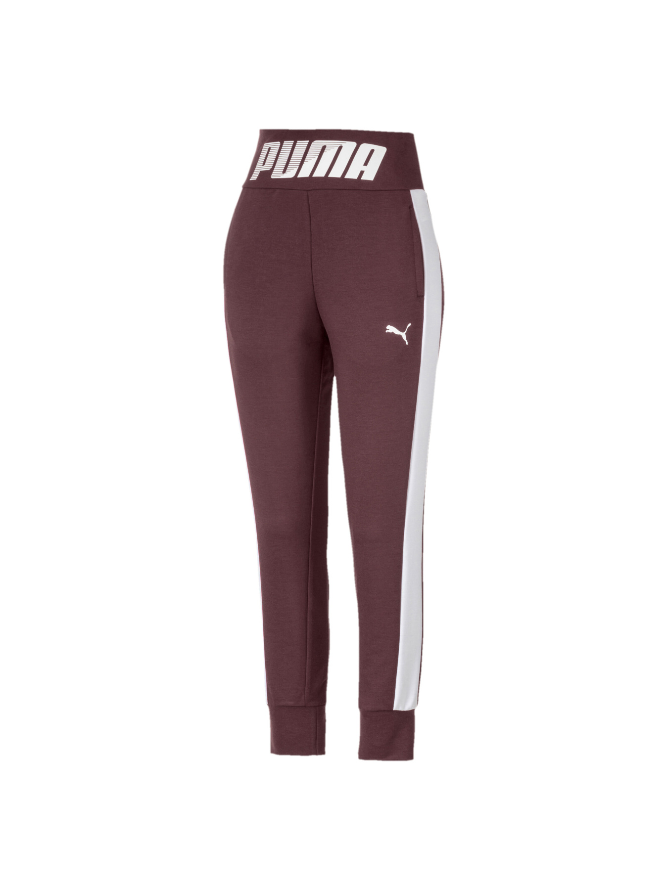 Штаны спортивные PUMA модель 580083 Фото