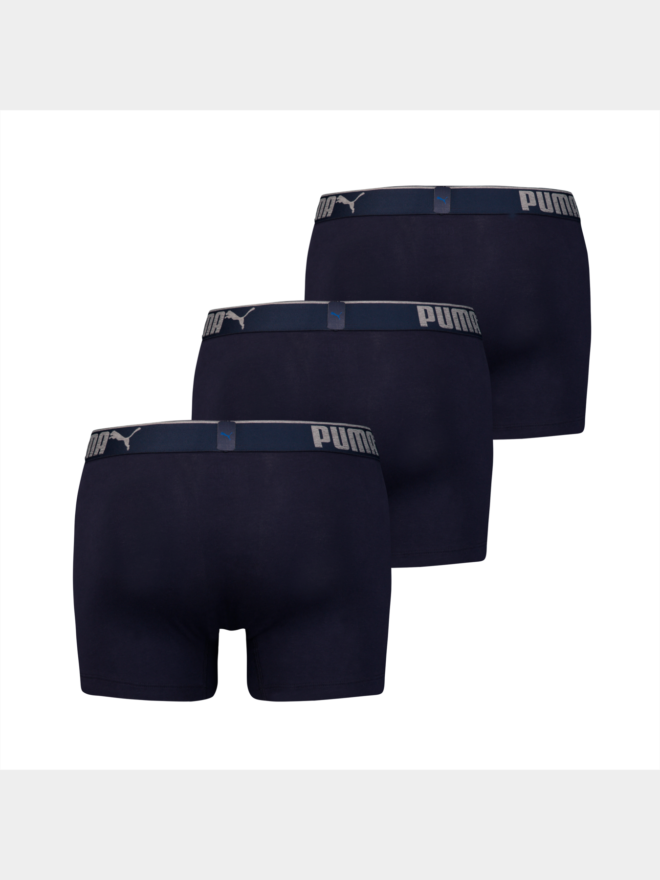 Труси PUMA Lifestyle Sueded Cotton модель 907268 Фото