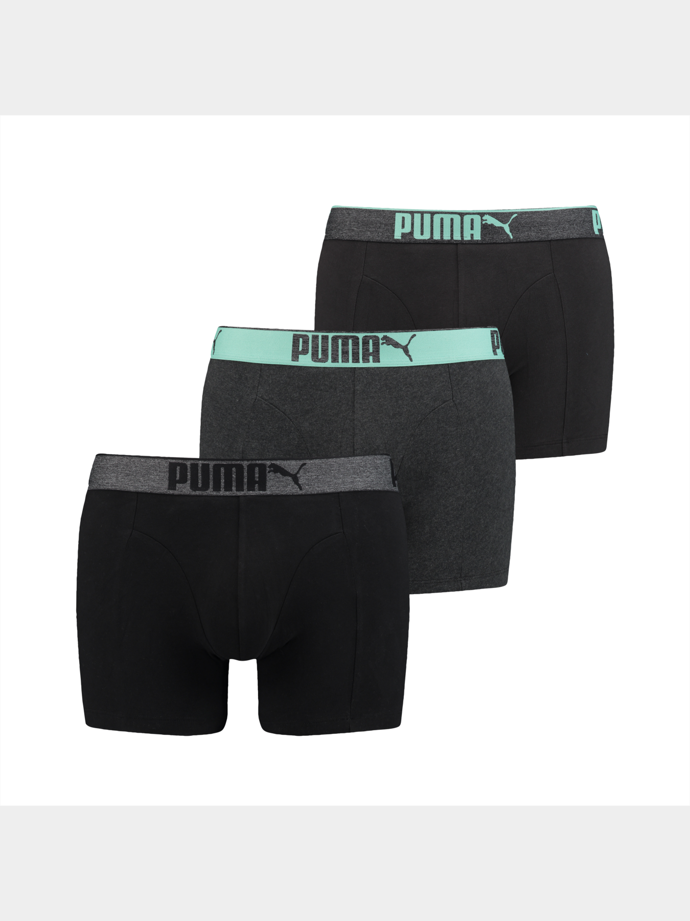 Трусы PUMA Lifestyle Sueded Cotton модель 907268 Трусы PUMA Lifestyle Sueded Cotton модель 907268 Фото