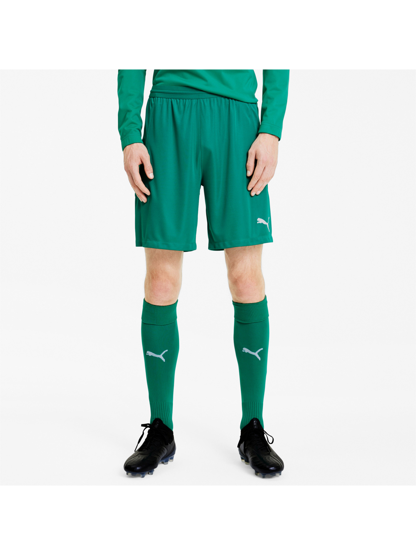 Шорты спортивные PUMA модель 704257 Шорты спортивные PUMA модель 704257 Фото