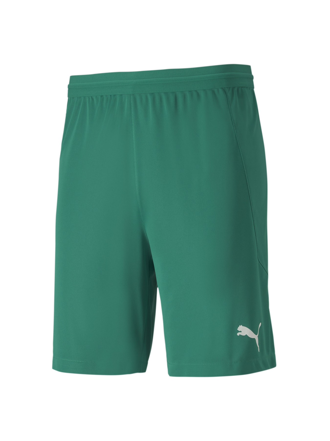 Шорты спортивные PUMA модель 704257 Шорты спортивные PUMA модель 704257 Фото