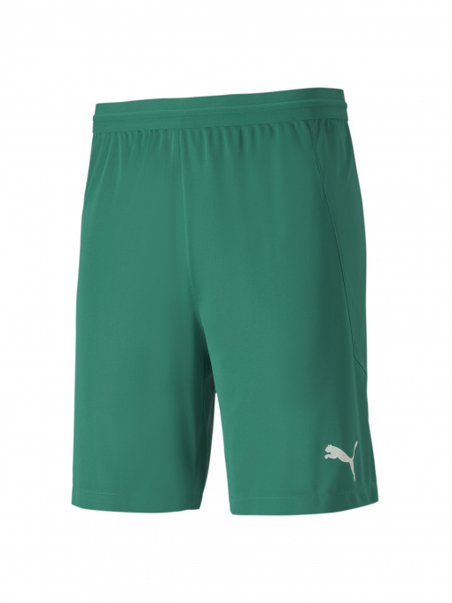 Шорты спортивные PUMA модель 704257 Фото