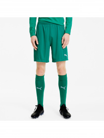 Шорты спортивные PUMA модель 704257 Фото