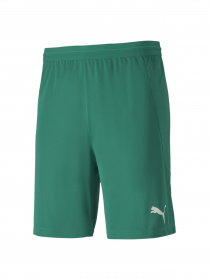 Шорты спортивные PUMA модель 704257 Фото