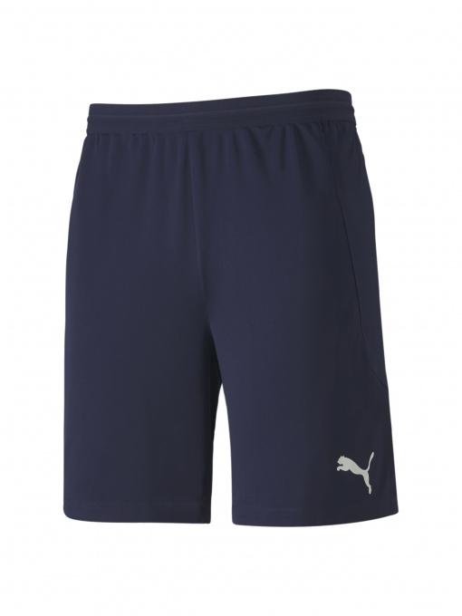 Шорты спортивные PUMA модель 704257 Фото