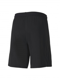 Шорти спортивні PUMA модель 704257 Фото