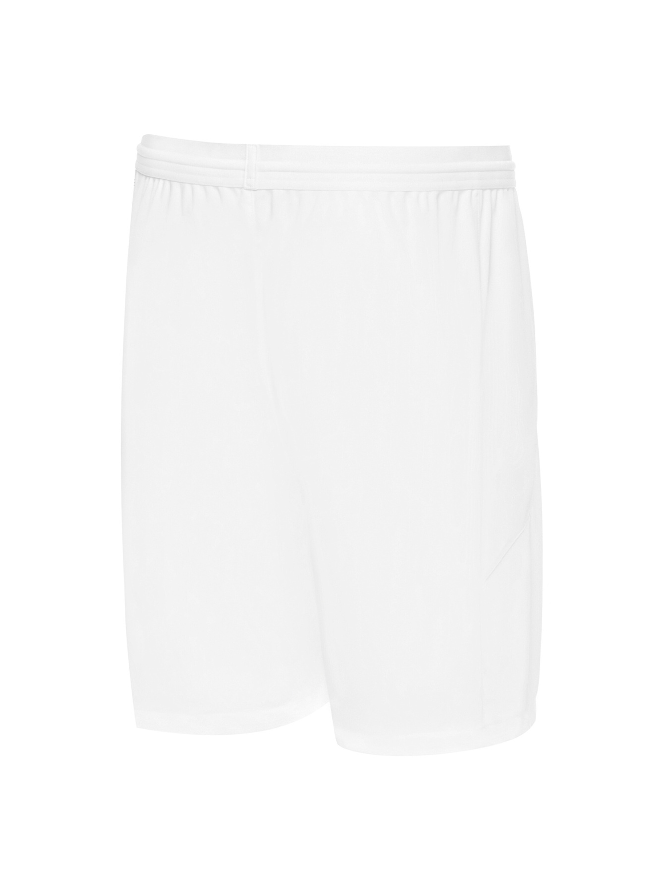 Шорты спортивные PUMA модель 704257 Фото