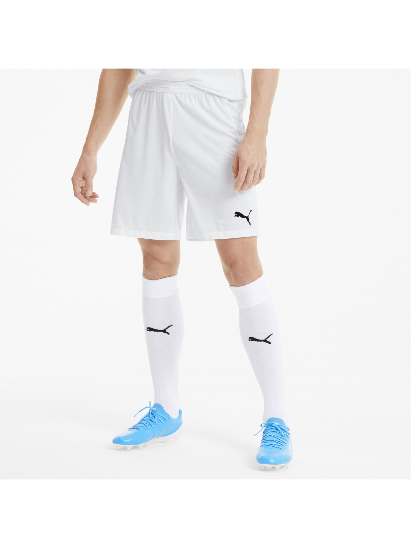 Шорты спортивные PUMA модель 704257 Фото