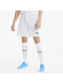 Спортивні шорти PUMA модель 704257 Фото