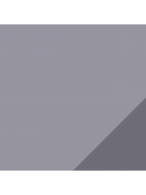 Носки PUMA Cell Train Sneaker 2P модель 906796 Фото