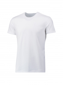 Футболка спортивная PUMA модель 906956 Фото